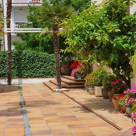 Hotel Mireia *